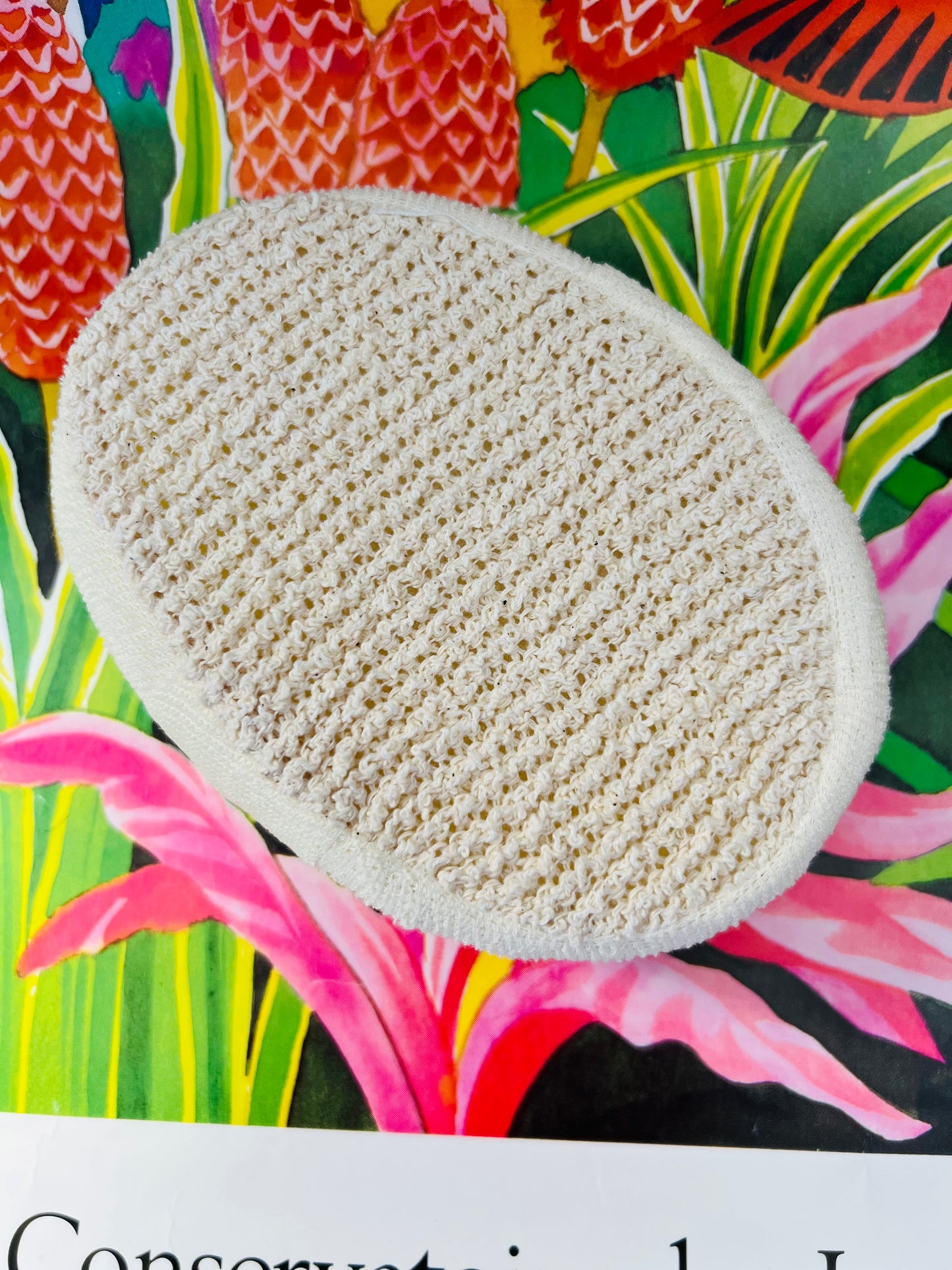 Éponge Luffa Moelleuse | Rituel Peau Radieuse & Cadeau Bien-Être – KFL