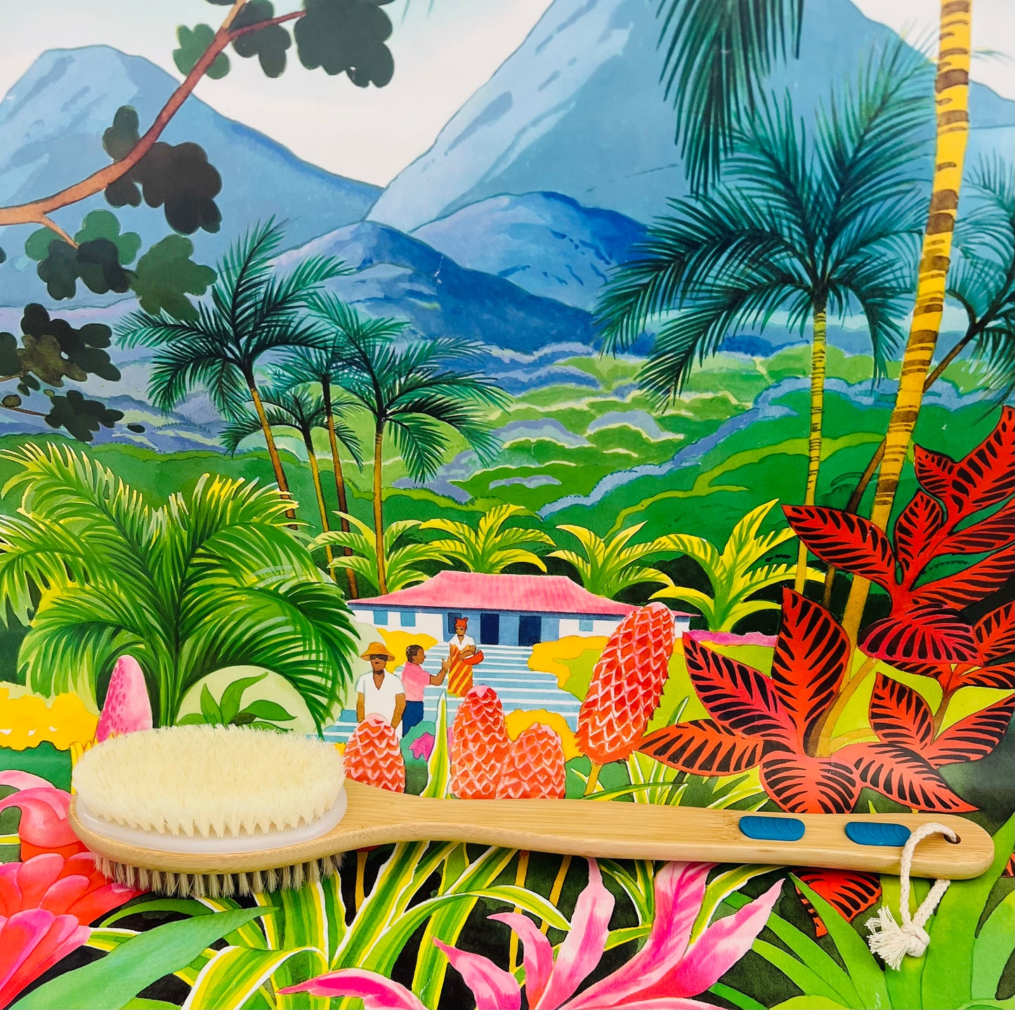 Brosse de douche double face en bois naturel – Exfoliante & douce pour le corps - Miss Jena