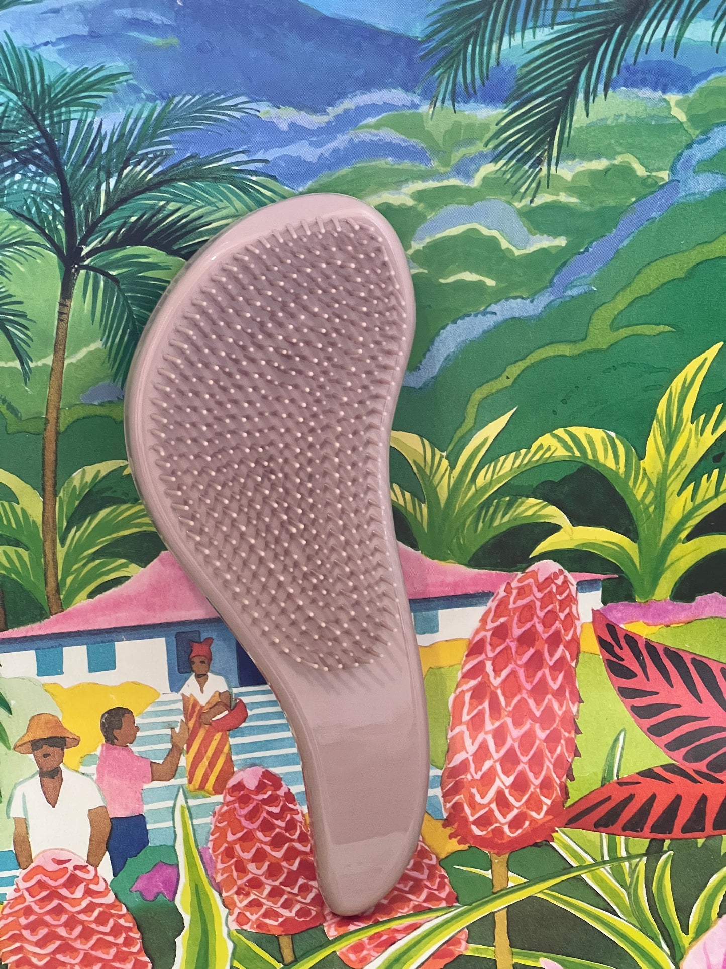 Brosse anti-statiques - Miss Daisy