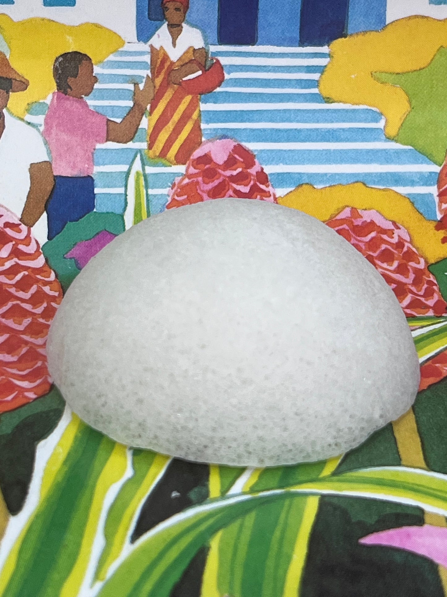 Éponge Konjac Naturelle – Nettoyage Doux & Exfoliation