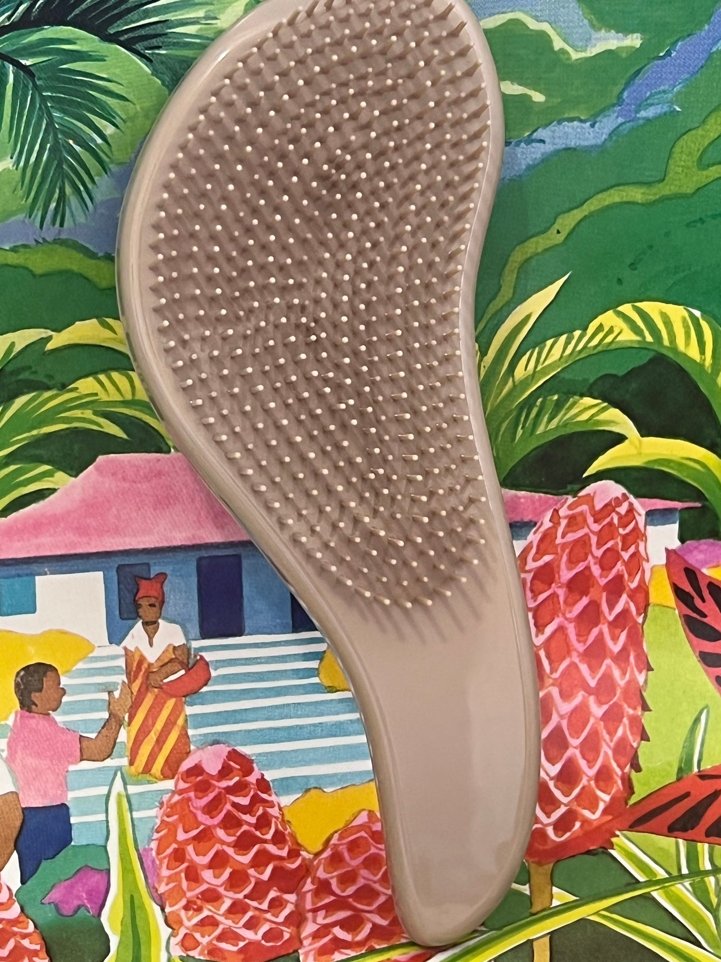Brosse anti-statiques - Miss Daisy